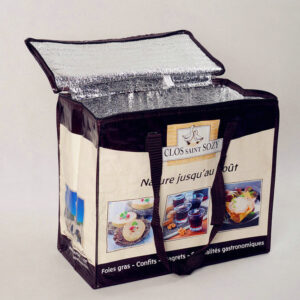PP Woven Cooler Bag