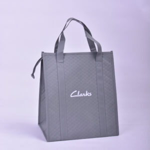 Cooler Bag