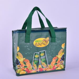 PP Woven Cooler Bag