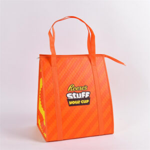 PP Non-Woven Lamination Cooler Bag