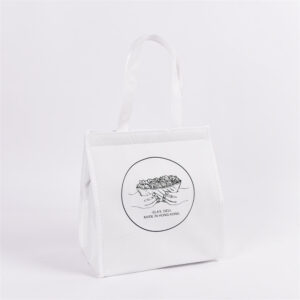 PP Nonwoven Cooler Bag