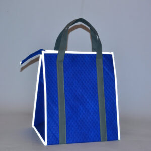 PP Non-Woven Cooler Bag