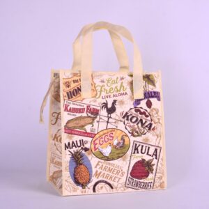 Cooler Bag