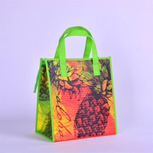 Lamination PP Non-Woven Cooler Bag
