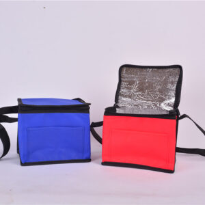 PP Non-Woven Cooler Bag
