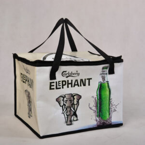 PP Woven Cooler Bag